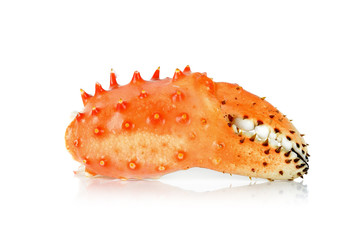 claw Alaskan king carb in isolated white background