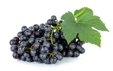 Grape with leaf isolated on the white background