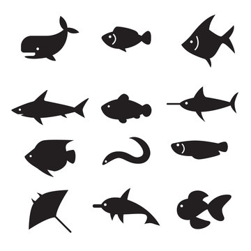  Fish icon set