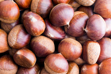 Close up view of raw chestnuts