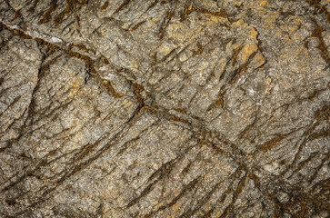Solid rock wet surface texture.