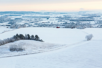 Fototapeta na wymiar Winter view of the rural landscapes