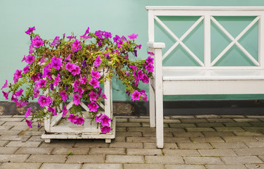 wooden pot with petunias and white bench