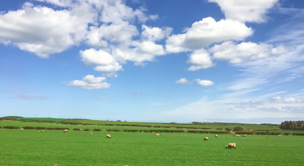 landscape of farm village in Scotland, UK