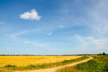 Fototapeta na wymiar Rural path in the field