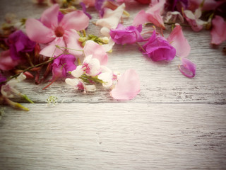 mix flowers on wood background