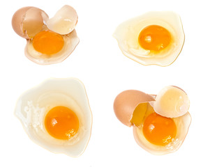 Set a broken raw egg on a white background