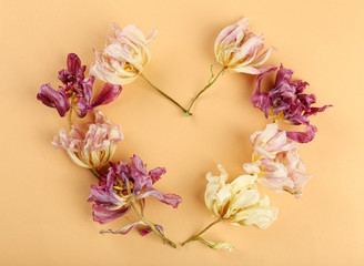 Dried flowers in shape of heart on color background