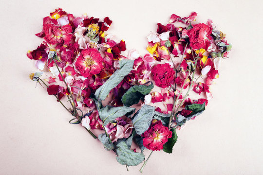 Dried flowers in shape of heart on color background