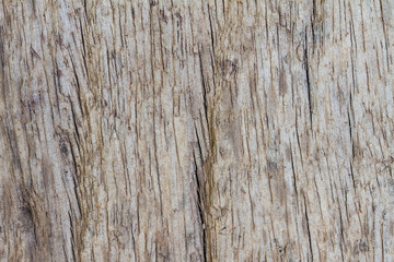 Old wood background