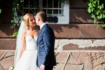 Fototapeta premium Newlywed on the background of house in plants