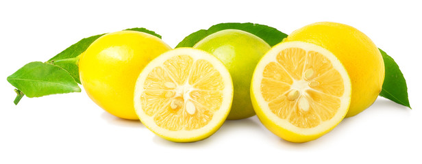 three lemons on a white background