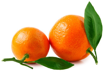 Two ripe tangerines isolated on white background