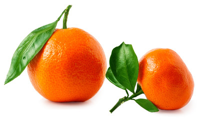 Two ripe tangerines isolated on white background