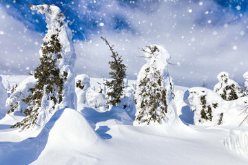 Beautiful winter wonderland during the sunny day. Winter landsca