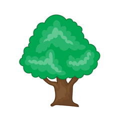 tree isolated illustration