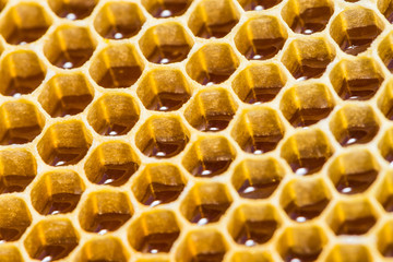 close-up texture of honeycomb with honey