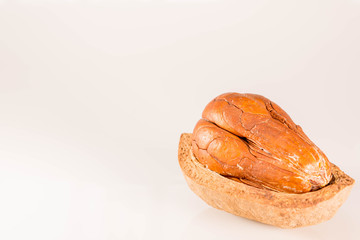 Side View and selective focus  : Mahogani seed
