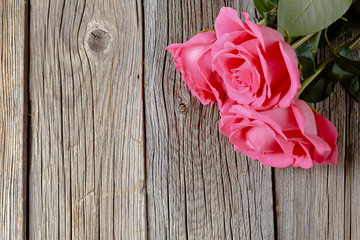 Three pink roses on wooden table