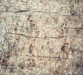 old wooden board texture background