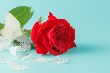 Background with Bouquet of Roses and Ribbon