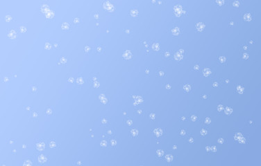 Fototapeta premium Simple abstract Serenity colored background with white flowers. Soft blue spring background, concept of colors.