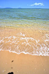 paradise beach seaweed  indian ocean     and foam