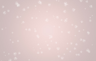 Simple abstract Rose Quartz colored background with white flowers. Soft spring background, concept of colors.