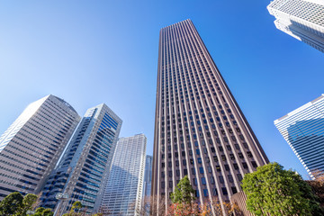 新宿・高層ビル群・冬