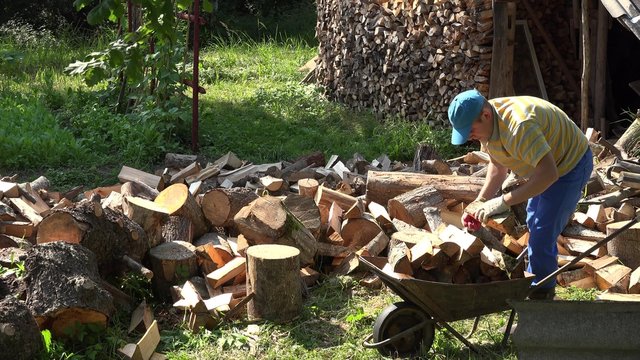 Strong villager man load chopped wood to cart barrow and pull it near woodshed storage house. Gardener guy prepare organic wood fuel for winter time. Static shot. 4K
