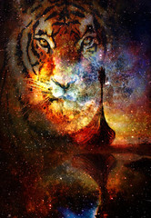 Viking Boat and tiger head  in space with stars, computer collage, Boat with wood dragon.