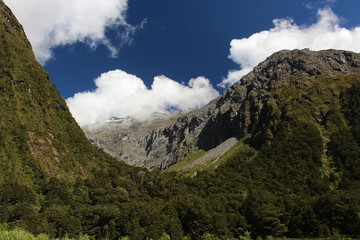 Countryside New Zealand