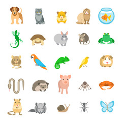 Fototapeta premium Animals pets vector flat colorful icons set. Cartoon illustrations of various domestic animals. Mammals, rodents, amphibian, insects, birds, reptiles, which people take care of at home
