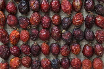 dried rosehip berries pattern