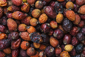 dried rosehip berries pattern