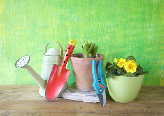 spring flowers and gardening tools, gardening concept,free copy