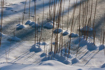 All things Winter