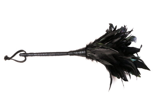 Federwedel Staubwedel