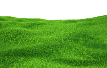 Obraz na płótnie Canvas Green grass growing on hills with white background top view