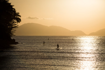 Stand Up Paddle, SUP