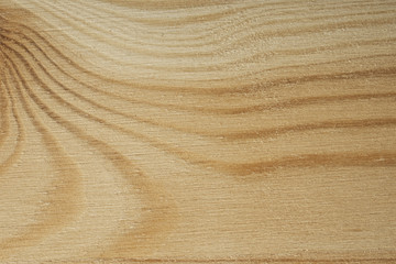 Pine tree texture. Wood background, light natural pattern