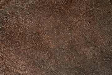 Grunge brown background. Old leather texture