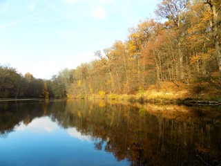Fototapeta na wymiar Lake with reflection and forest in autumn
