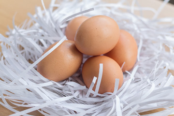 Pile of chicken eggs