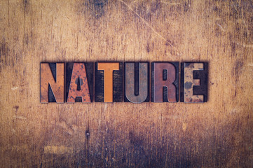 Nature Concept Wooden Letterpress Type
