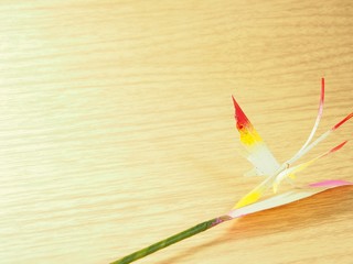 Created butterfly, local produce, made from white dried leaves of nipa palm on wood background