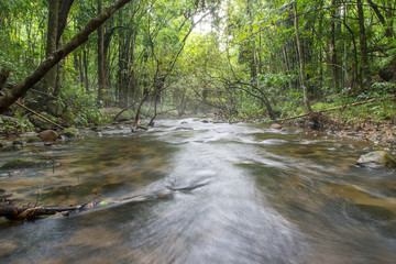 River deep in mountain rain forest.