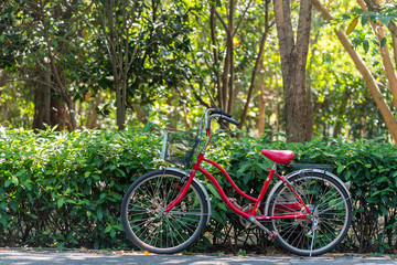Fototapeta na wymiar Red bicycle standing in park
