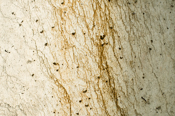 Obraz premium Concrete surface with rich and various texture