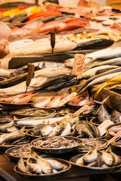 fish market
